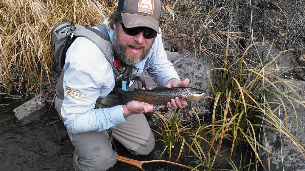 Pete took this nice Brown Trout on a small stream near Lake City, Colorado. Fall fishing in the high country is so much fun. Acli-Mate keeps me hydrated while searching for these nice fish.